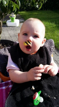 Bee-Patch -TrekÉquip Magasin anti venin guepes abeilles frelon bourdon beepatch