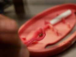 Clipbox Tick Twister -TrekÉquip Magasin crochet anti tiques ticktwister