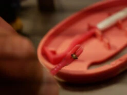 Clipbox Tick Twister -TrekÉquip Magasin crochet anti tiques ticktwister 02