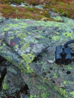 Jerven Fjellduken Hunter 19 Jerven Fjellduken Hunter -TrekÉquip Magasin jervenbag hunter montain