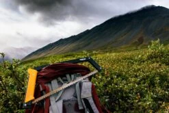 Agawa Canyon Boreal 24 -TrekÉquip Magasin scie pliante agawa canyon 05 2