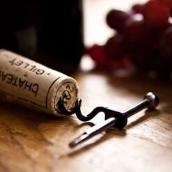 True Utility Twistick -TrekÉquip Magasin tire bouchon twistick true utility 06